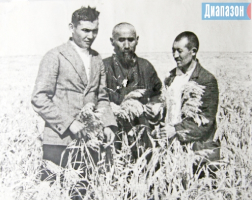 Шыганак Берсиев (в центре) в войну получил рекордный урожай проса. Оно шло на солдатскую кашу. 