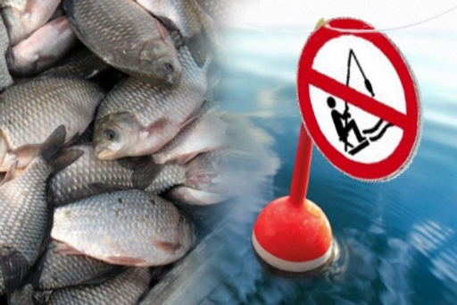 На Балхаше и Капшагае ввели временный запрет на рыбалку